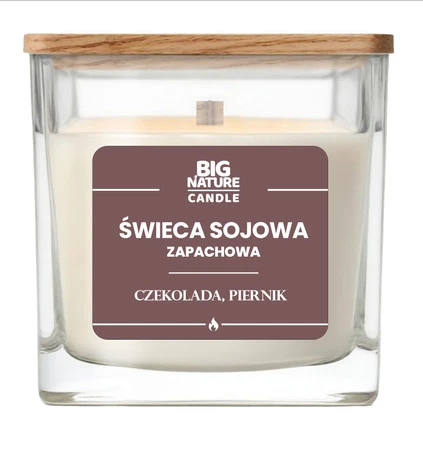 Big Nature Świeca sojowa o zap. Czekolada i Piernik 220g
