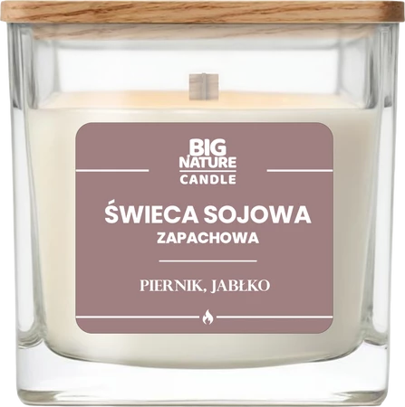 Big Nature Świeca sojowa o zap. Piernik i Jabłko 220g