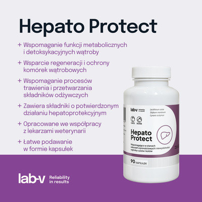 Lab-V Hepato Protect wspomaganie funkcji wątroby dla psów i kotów 45 kaps.