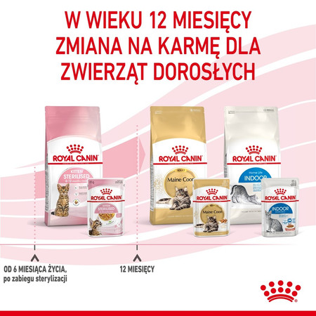 ROYAL CANIN Kitten Sterilised w galaretce 85g