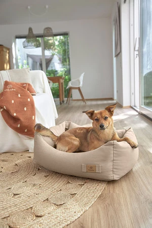 PALOPA Legowisko dla psa bawełniane Fred humus M