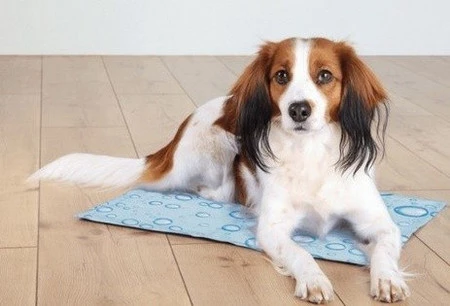 TRIXIE Mata chłodząca dla psa 40x30cm