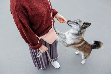 PALOPA Torebka saszetka na smakołyki dla psa Karl soft pink M