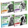 FRONTLINE COMBO Spot-On XL >40kg Krople na kleszcze 1szt.