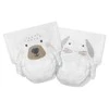 Zestaw: 5x Kit and Kin, Biodegradowalne Pieluszki Jednorazowe 3 Maxi (6-10 kg), Bear/Rabbit, 32 szt.