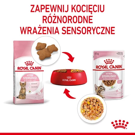 ROYAL CANIN Kitten Sterilised w galaretce 85g