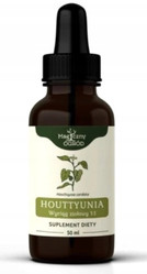 Nanga Houttuynia cordata wyciąg 1:1 50 ml