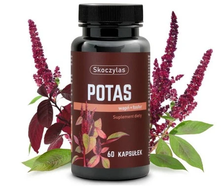 Skoczylas Potas + Wapń + Fosfor 60 k