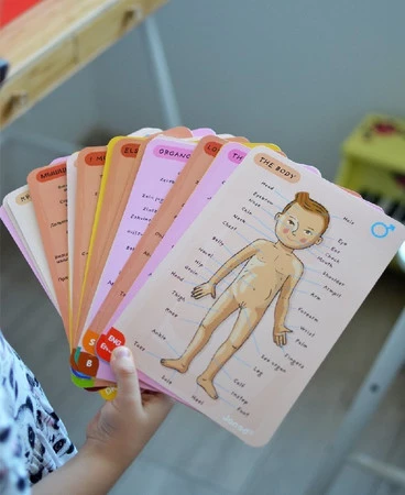 Janod Układanka magnetyczna Ciało człowieka