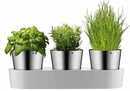 WMF - Zestaw 3 doniczek na zioła, Gourmet