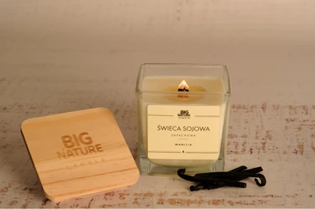 Big Nature Świeca sojowa o zapachu WANILIA 205g