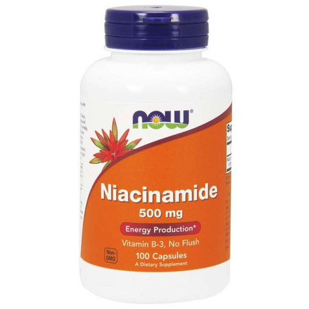 Witamina B3 - Niacyna 500 mg (100 kaps.)
