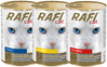 DOLINA NOTECI RAFI Cat Wołowina 415g