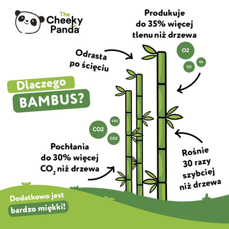 Cheeky Panda, Chusteczki nawilżane dla dzieci, 60 szt.