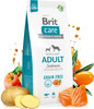 BRIT Care Dog Grain Free Adult Salmon 1kg