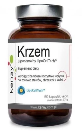 KENAY Krzem liposomalny LipoCellTech (60 kaps.)