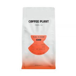 COFFEE PLANT - FLOW Blossom Filter 800g