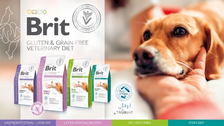 BRIT GF Veterinary Diet Gastrointestinal-LOW FAT Dog 2kg