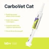 Lab-V CarboVet CAT Preparat o właściwościach odtruwających dla kotów 10ml