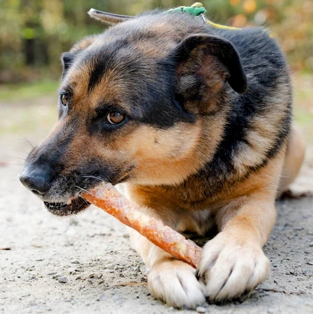 CANAGRI PET Patyk ze skóry wołowej z Kurczakiem 320g