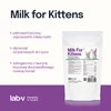 Lab-V Milk For Kittens -preparat mleko zastępczy dla kociąt 200g