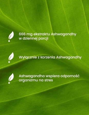 ESSENSEY ASHWAGANDHA FORTE 90cap