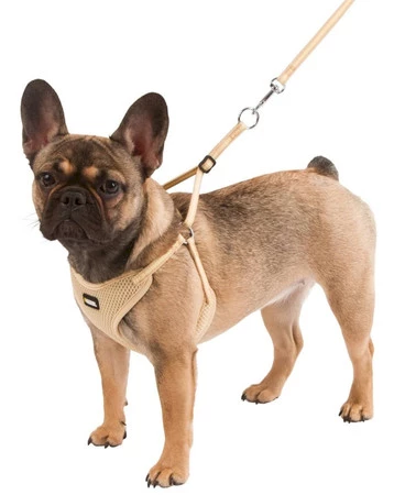 KERBL Uprząż dla szczeniąt ze smyczą Beżowa 24-44cm