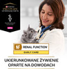 PURINA PVD NF Renal Function Early Care Feline 1,5kg