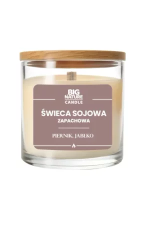 Big Nature Świeca sojowa o zap. Piernik i Jabłko 225g