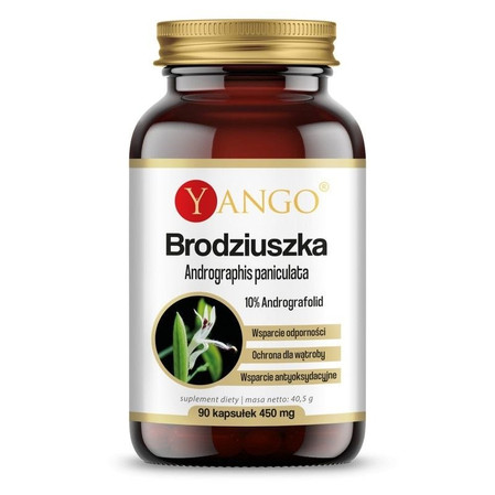 Yango Brodziszka 90 k