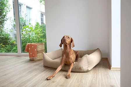 PALOPA Legowisko dla psa bawełniane Fred humus M