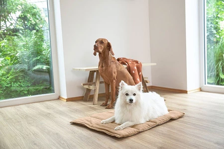 PALOPA Mata dla psa Alma humus S