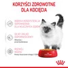 ROYAL CANIN KITTEN w galaretce 85g