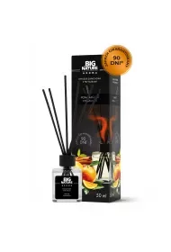 Big Nature Dyfuzor Zapachowy Pomarańcza 50 ml