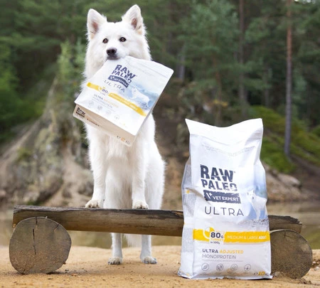 Vet Expert RAW PALEO Medium Large Adult Ultra Turkey 2kg