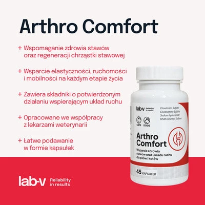 Lab-V Arthro Comfort kompleksowe wsparcie zdrowia stawów oraz układu ruchu dla psów i kotów 45 kaps.