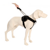 PATENTO PET Szelki Jockey M Czarne