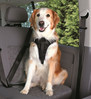 TRIXIE Szelki samochodowe Dog Comfort L