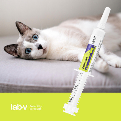Lab-V CarboVet CAT Preparat o właściwościach odtruwających dla kotów 10ml
