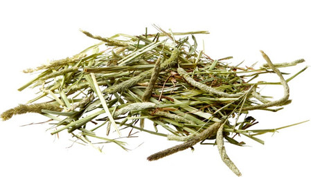 VERSELE LAGA Nature Timothy Hay sianko tymotkowe 1kg