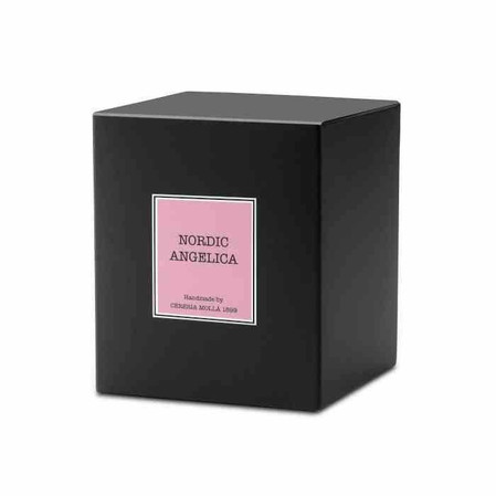 CM - Świeca Santiago 230gr. Nordic angelica