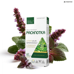 Medica Herbs Pachnotka 500mg na wsparcie odporności 60 kaps.