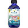  Nordic Naturals Childrens DHA 530 mg kwasy tłuszczowe DHA 119 ml