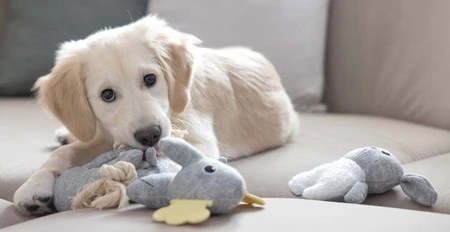 KERBL Słonik Zabawka pluszowa dla szczeniąt