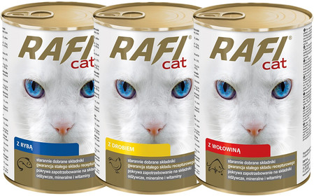 DOLINA NOTECI RAFI Cat Wołowina 415g