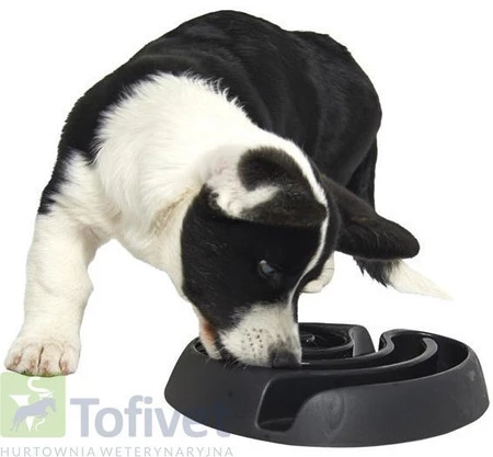 BUSTER DogMaze Inteligentna miska dla psa MAŁA ZIELONA
