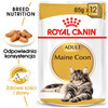 ROYAL CANIN Maine Coon Adult w sosie 85g