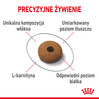 ROYAL CANIN Appetite Control Care 400g
