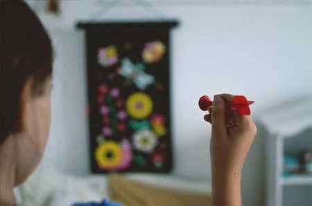 Janod Magnetyczna gra w rzutki Ogród