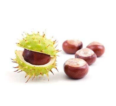 NIKEL, Krem rozjaśniający pod oczy z Kasztanowcem, 15ml